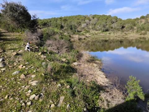 TERRENO COM 96.120 m² - COM POSSIBILIDADE DE CONSTRUÇÃO - VISTA LAGO - HABITAÇÃO E/OU TURISMO - PRÓXIMO À FOZ DE ODELEITE - CASTRO MARIM - ALGARVE