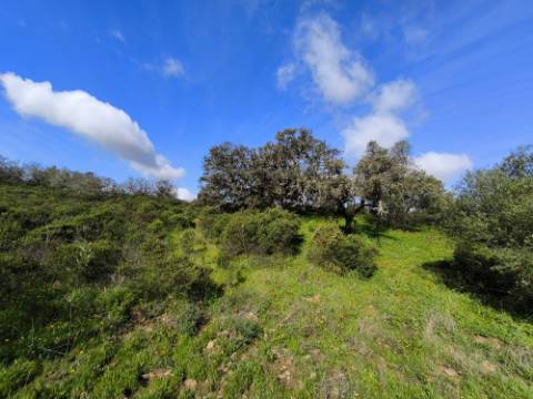 TERRENO RÚSTICO COM 3.4 HECTARES - COM POSSIBILIDADE DE CONSTRUÇÃO DE ARMAZÉM AGRICOLA - PRÓXIMO A ALDEIA DO AZINHAL EM CASTRO MARIM - ALGARVE