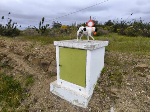TERRENO RUSTICO COM 1.6 HECTARES - PRÓXIMO A ELETRICIDADE - PRÓXIMO A ALDEIA DO AZINHAL - EM CASTRO MARIM .- ALGARVE