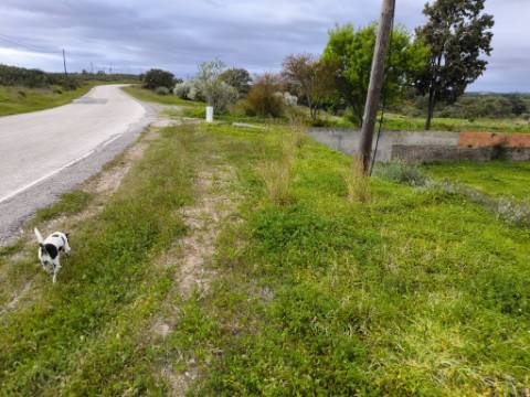 TERRENO RUSTICO COM 1.6 HECTARES - PRÓXIMO A ELETRICIDADE - PRÓXIMO A ALDEIA DO AZINHAL - EM CASTRO MARIM .- ALGARVE