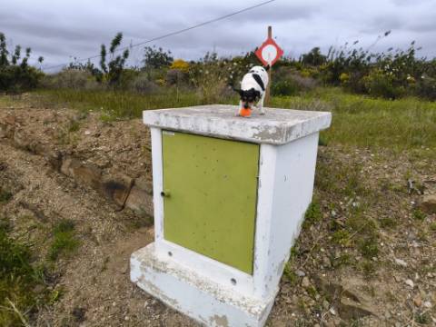 TERRENO RUSTICO COM 1.6 HECTARES - PRÓXIMO A ELETRICIDADE - PRÓXIMO A ALDEIA DO AZINHAL - EM CASTRO MARIM .- ALGARVE