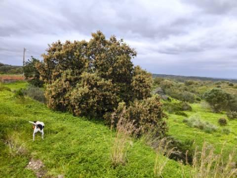 TERRENO RUSTICO COM 1.6 HECTARES - PRÓXIMO A ELETRICIDADE - PRÓXIMO A ALDEIA DO AZINHAL - EM CASTRO MARIM .- ALGARVE