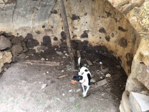 TERRENO COM MOINHO - COM 72.950 M2 - COM POSSIBILIDADE DE CONSTRUÇÃO - HABITAÇÃO E OU TURISMO - PRÓXIMO AO AZINHAL EM CASTRO MARIM - ALGARVE