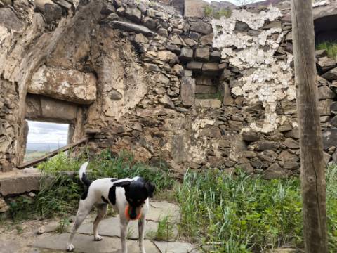 TERRENO COM MOINHO - COM 72.950 M2 - COM POSSIBILIDADE DE CONSTRUÇÃO - HABITAÇÃO E OU TURISMO - PRÓXIMO AO AZINHAL EM CASTRO MARIM - ALGARVE