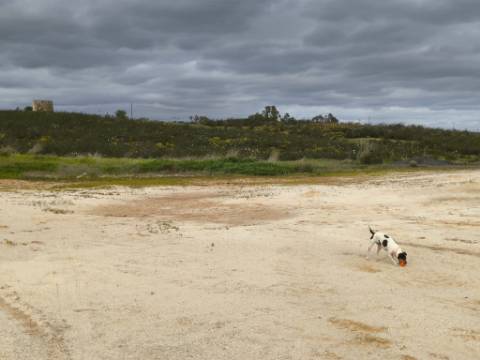 TERRENO COM MOINHO - COM 72.950 M2 - COM POSSIBILIDADE DE CONSTRUÇÃO - HABITAÇÃO E OU TURISMO - PRÓXIMO AO AZINHAL EM CASTRO MARIM - ALGARVE