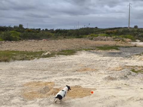 TERRENO COM MOINHO - COM 72.950 M2 - COM POSSIBILIDADE DE CONSTRUÇÃO - HABITAÇÃO E OU TURISMO - PRÓXIMO AO AZINHAL EM CASTRO MARIM - ALGARVE