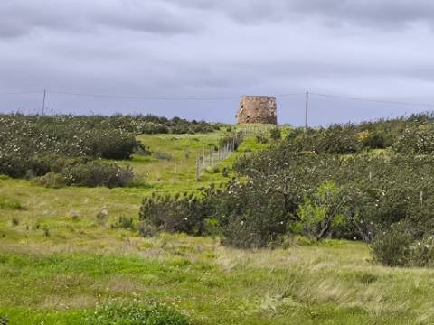 TERRENO COM MOINHO - COM 72.950 M2 - COM POSSIBILIDADE DE CONSTRUÇÃO - HABITAÇÃO E OU TURISMO - PRÓXIMO AO AZINHAL EM CASTRO MARIM - ALGARVE