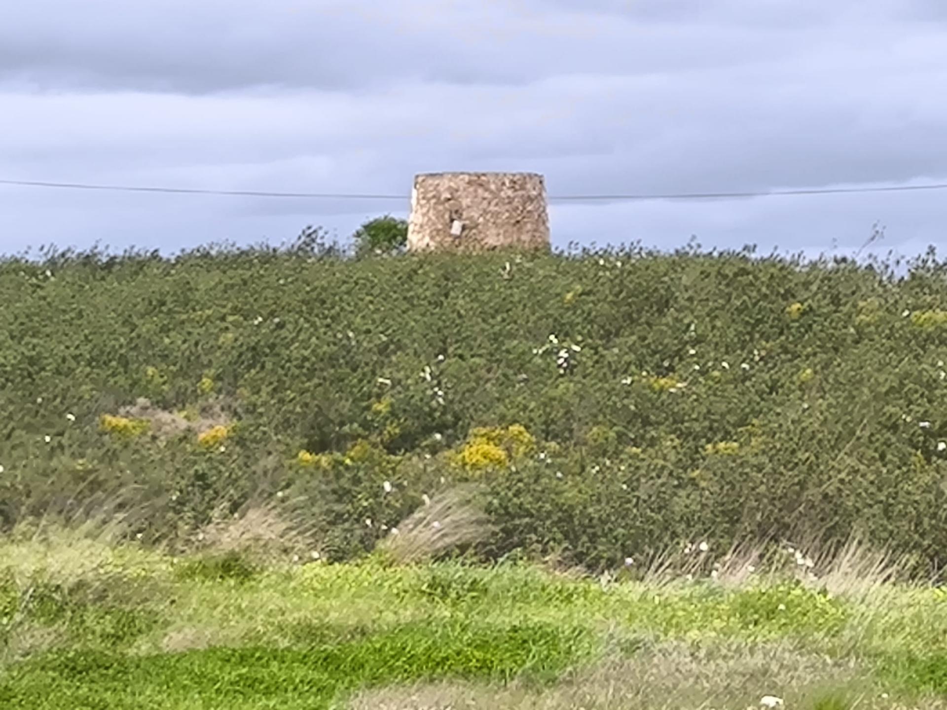 TERRENO COM MOINHO - COM 72.950 M2 - COM POSSIBILIDADE DE CONSTRUÇÃO - HABITAÇÃO E OU TURISMO - PRÓXIMO AO AZINHAL EM CASTRO MARIM - ALGARVE