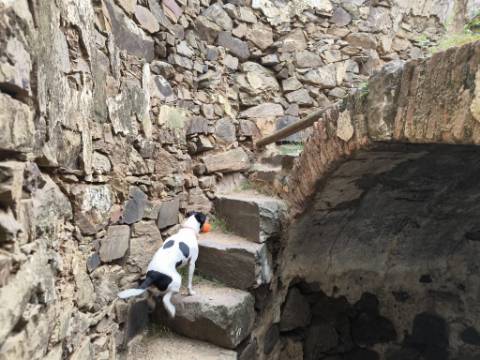 TERRENO COM MOINHO - COM 72.950 M2 - COM POSSIBILIDADE DE CONSTRUÇÃO - HABITAÇÃO E OU TURISMO - PRÓXIMO AO AZINHAL EM CASTRO MARIM - ALGARVE