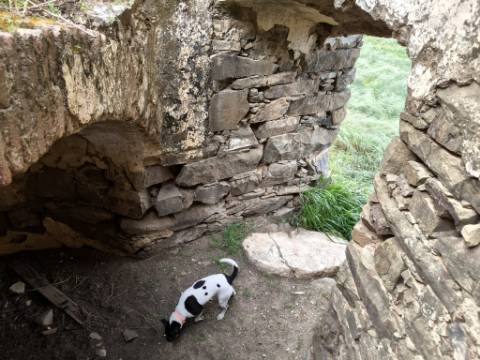 TERRENO COM MOINHO - COM 72.950 M2 - COM POSSIBILIDADE DE CONSTRUÇÃO - HABITAÇÃO E OU TURISMO - PRÓXIMO AO AZINHAL EM CASTRO MARIM - ALGARVE