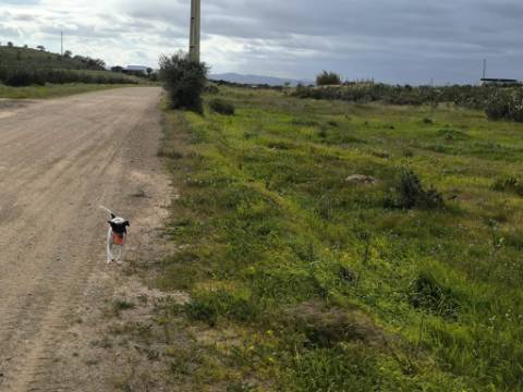 TERRENO COM MOINHO - COM 72.950 M2 - COM POSSIBILIDADE DE CONSTRUÇÃO - HABITAÇÃO E OU TURISMO - PRÓXIMO AO AZINHAL EM CASTRO MARIM - ALGARVE