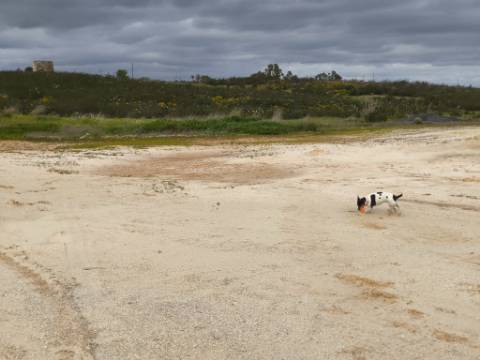TERRENO COM MOINHO - COM 72.950 M2 - COM POSSIBILIDADE DE CONSTRUÇÃO - HABITAÇÃO E OU TURISMO - PRÓXIMO AO AZINHAL EM CASTRO MARIM - ALGARVE