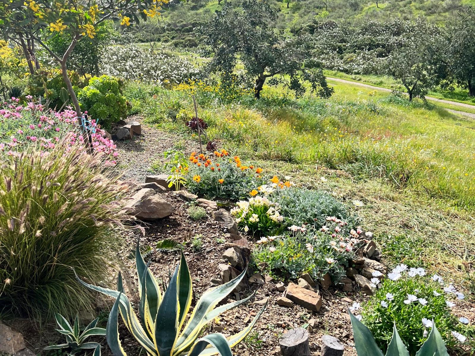 Refúgio Rústico na Encosta com Olival - Castro Marim, Algarve