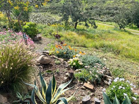 Refúgio Rústico na Encosta com Olival - Castro Marim, Algarve