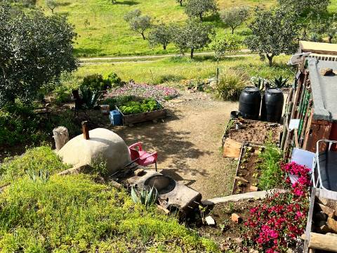 Refúgio Rústico na Encosta com Olival - Castro Marim, Algarve