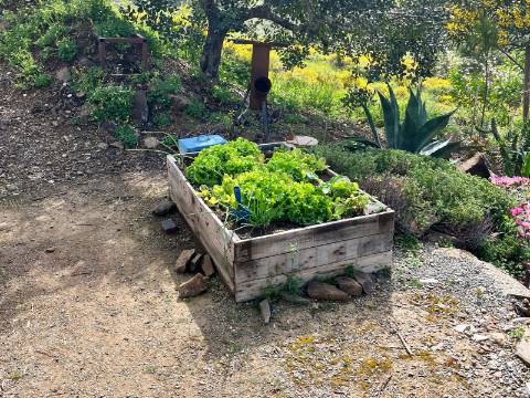 Refúgio Rústico na Encosta com Olival - Castro Marim, Algarve