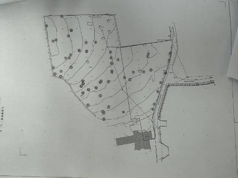 Terreno com 2407m2 com projeto aprovado para moradia térrea T3