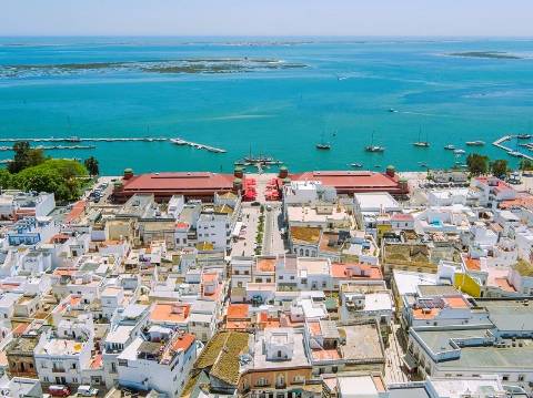 Terreno com 2407m2 com projeto aprovado para moradia térrea T3