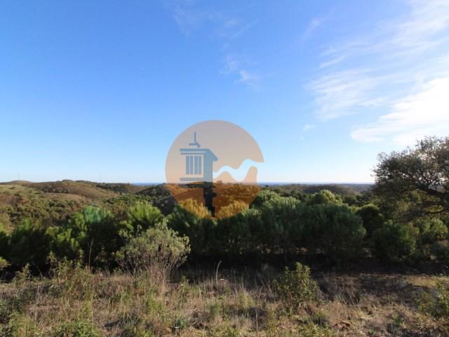 TERRENO COM 56.950 M2 - COM FURO - DEPOSITO DE ÁGUA - VISTA MAR - EM V. N. CACELA - VRSA - ALGARVE