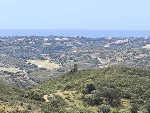 TERRENO COM 56.950 M2 - COM FURO - DEPOSITO DE ÁGUA - VISTA MAR - EM V. N. CACELA - VRSA - ALGARVE