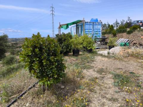 TERRENO COM 56.950 M2 - COM FURO - DEPOSITO DE ÁGUA - VISTA MAR - EM V. N. CACELA - VRSA - ALGARVE