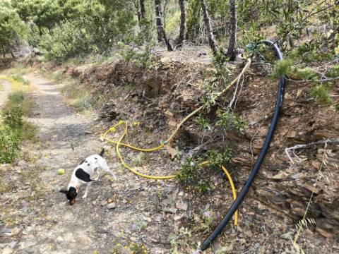 TERRENO COM 56.950 M2 - COM FURO - DEPOSITO DE ÁGUA - VISTA MAR - EM V. N. CACELA - VRSA - ALGARVE