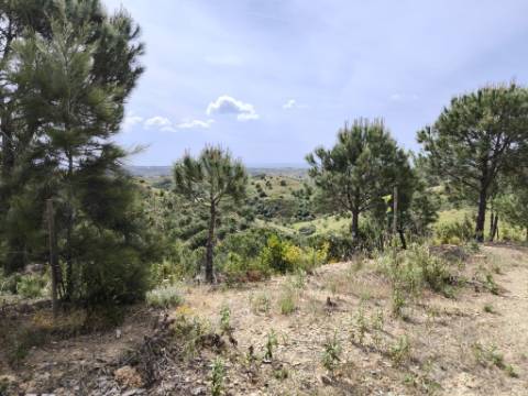 TERRENO COM 56.950 M2 - COM FURO - DEPOSITO DE ÁGUA - VISTA MAR - EM V. N. CACELA - VRSA - ALGARVE