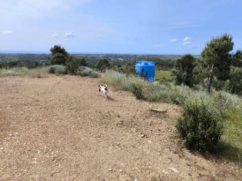 TERRENO COM 56.950 M2 - COM FURO - DEPOSITO DE ÁGUA - VISTA MAR - EM V. N. CACELA - VRSA - ALGARVE