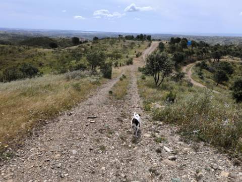 TERRENO COM 56.950 M2 - COM FURO - DEPOSITO DE ÁGUA - VISTA MAR - EM V. N. CACELA - VRSA - ALGARVE