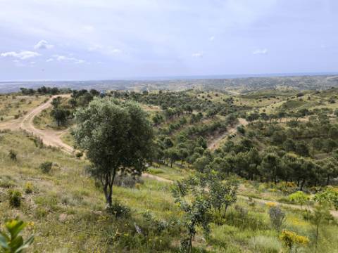 TERRENO COM 56.950 M2 - COM FURO - DEPOSITO DE ÁGUA - VISTA MAR - EM V. N. CACELA - VRSA - ALGARVE