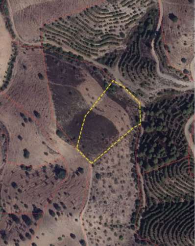 Terreno rústico com 5960 m² em Odeleite (Barranco da Velha), com poço, Castro Marim.