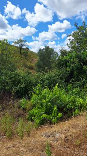 Terreno rústico com 5960 m² em Odeleite (Barranco da Velha), com poço, Castro Marim.