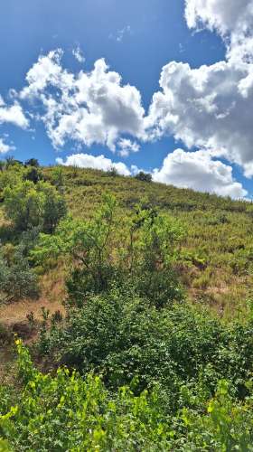 Terreno rústico com 5960 m² em Odeleite (Barranco da Velha), com poço, Castro Marim.