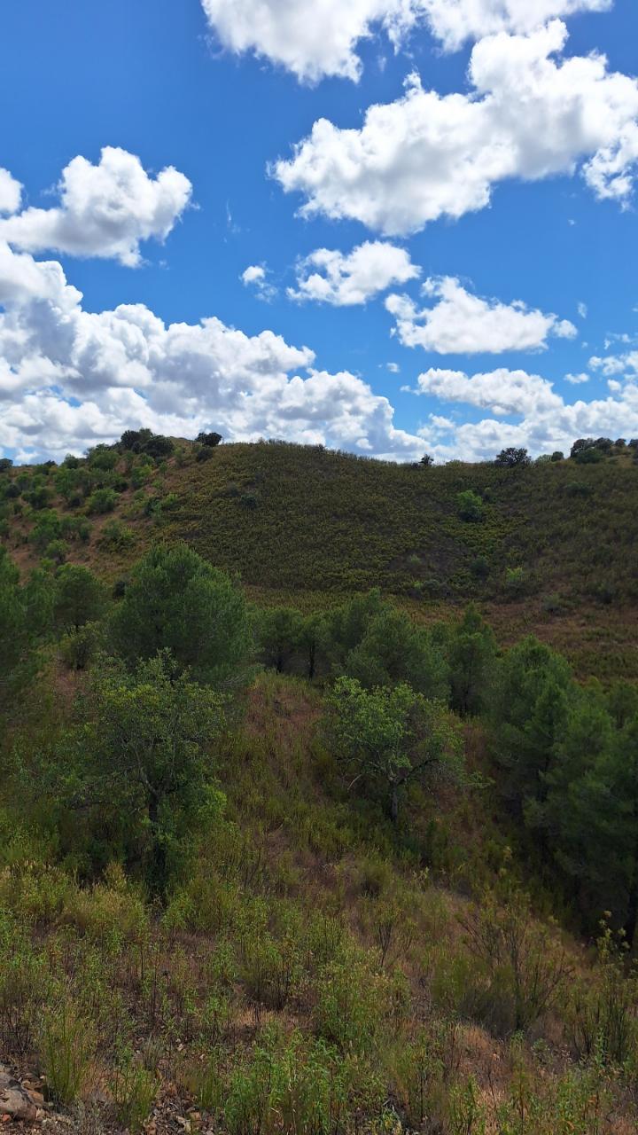 Terreno rústico com 5960 m² em Odeleite (Barranco da Velha), com poço, Castro Marim.
