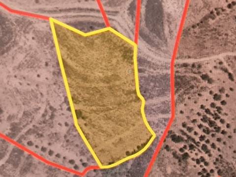 TERRENO MISTO COM 10.000 M² - COM ÁREA URBANA PARA CONSTRUÇÃO - VISTA MAR - VALE ANDREU - CASTRO MARIM - ALGARVE