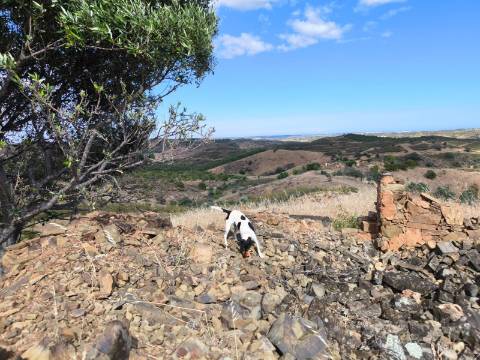 TERRENO MISTO COM 10.000 M² - COM ÁREA URBANA PARA CONSTRUÇÃO - VISTA MAR - VALE ANDREU - CASTRO MARIM - ALGARVE