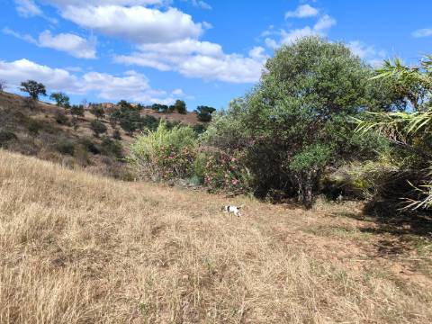 TERRENO MISTO COM 10.000 M² - COM ÁREA URBANA PARA CONSTRUÇÃO - VISTA MAR - VALE ANDREU - CASTRO MARIM - ALGARVE