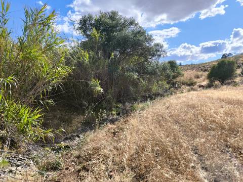 TERRENO MISTO COM 10.000 M² - COM ÁREA URBANA PARA CONSTRUÇÃO - VISTA MAR - VALE ANDREU - CASTRO MARIM - ALGARVE
