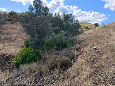 TERRENO MISTO COM 10.000 M² - COM ÁREA URBANA PARA CONSTRUÇÃO - VISTA MAR - VALE ANDREU - CASTRO MARIM - ALGARVE