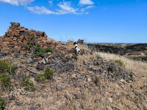 TERRENO MISTO COM 10.000 M² - COM ÁREA URBANA PARA CONSTRUÇÃO - VISTA MAR - VALE ANDREU - CASTRO MARIM - ALGARVE