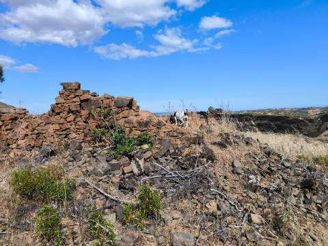 TERRENO MISTO COM 10.000 M² - COM ÁREA URBANA PARA CONSTRUÇÃO - VISTA MAR - VALE ANDREU - CASTRO MARIM - ALGARVE