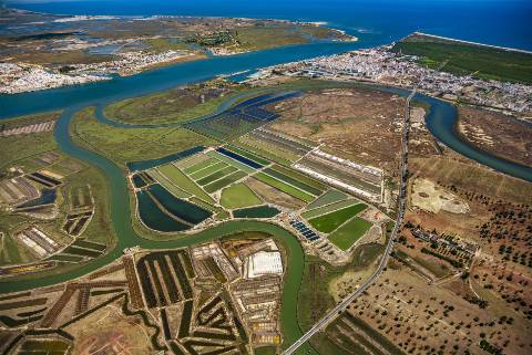 Magnífica Moradia de Charme com Vista Panorâmica Deslumbrante e Piscina Privativa