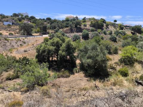 TERRENO RUSTICO COM 17.120 M2 - ACESSO POR ASFALTO - EM PEDRA ARRANCADA - ALTURA - CASTRO MARIM - ALGARVE