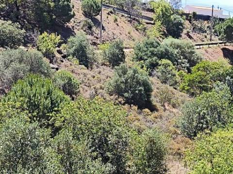 TERRENO RUSTICO COM 17.120 M2 - ACESSO POR ASFALTO - EM PEDRA ARRANCADA - ALTURA - CASTRO MARIM - ALGARVE
