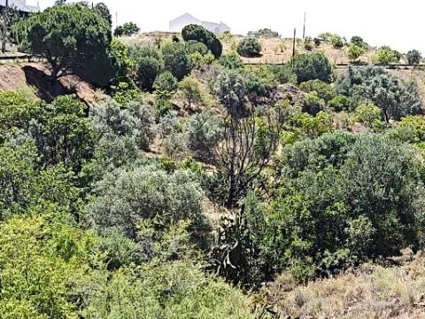 TERRENO RUSTICO COM 17.120 M2 - ACESSO POR ASFALTO - EM PEDRA ARRANCADA - ALTURA - CASTRO MARIM - ALGARVE