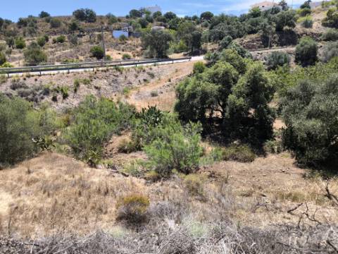 TERRENO RUSTICO COM 17.120 M2 - ACESSO POR ASFALTO - EM PEDRA ARRANCADA - ALTURA - CASTRO MARIM - ALGARVE