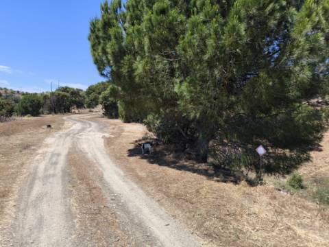 TERRENO RUSTICO COM 17.120 M2 - ACESSO POR ASFALTO - EM PEDRA ARRANCADA - ALTURA - CASTRO MARIM - ALGARVE