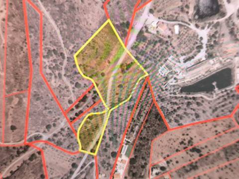 TERRENO RUSTICO COM 17.120 M2 - ACESSO POR ASFALTO - EM PEDRA ARRANCADA - ALTURA - CASTRO MARIM - ALGARVE