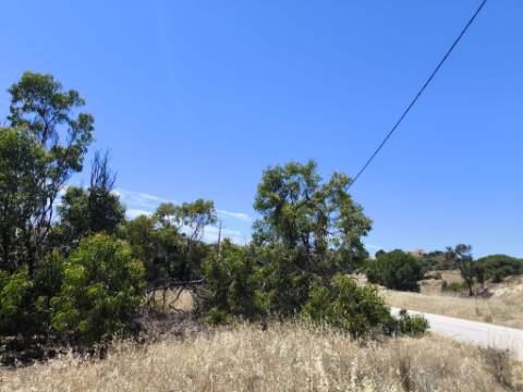 TERRENO RUSTICO COM 17.120 M2 - ACESSO POR ASFALTO - EM PEDRA ARRANCADA - ALTURA - CASTRO MARIM - ALGARVE