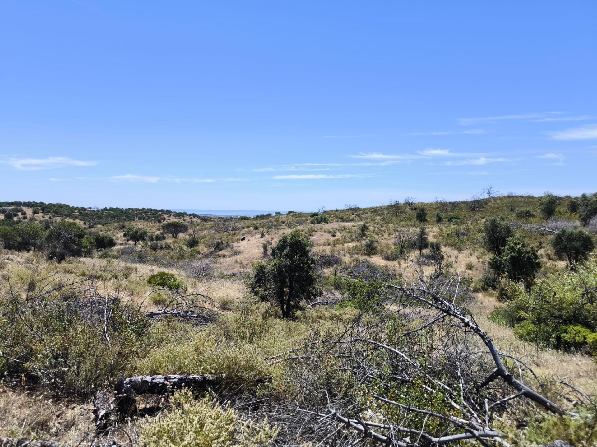 TERRENO RUSTICO COM 13.790 M2 - VISTA MAR - COM POÇO - PRÓXMO AO GOLFE - EM VILA NOVA DE CACELA - VRSA - ALGARVE